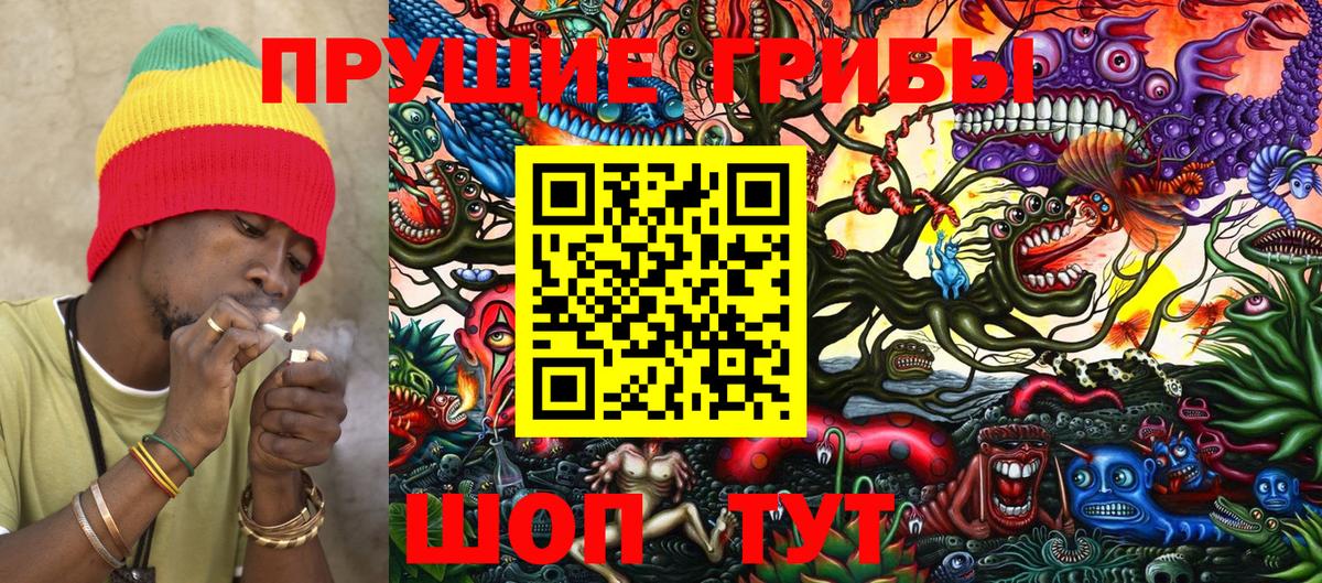Псилоцибиновые грибы GOLDEN TEACHER Можайск